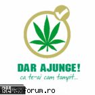Poze smekere... - Bagatzi shi voi poze funny :P hai k incep eu cu - the pimp machine
