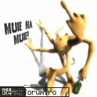 Poze smekere... - Molusk - the pimp machine